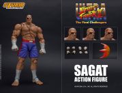 KAZUYA MISHIMA ACTION SERIES 1/12 - TEKKEN 7 - STORM COLLECTIBLES na Geek  Show Colecionáveis